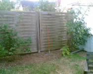 der Blauregen ist entfernt.webp