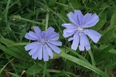 DSCF0202.webp