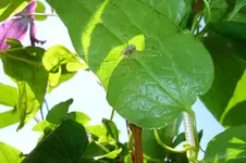 DSC03160.webp