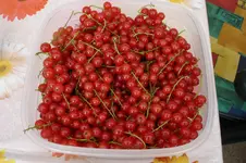 3188Johannisbeeren.webp
