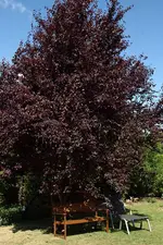 IMGP6755.webp