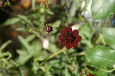 DSC03523.webp
