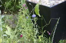 DSC03524.webp