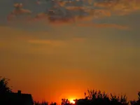 IMG_2018.webp
