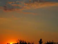 IMG_2019.webp