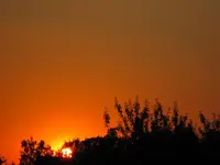 IMG_2020.webp