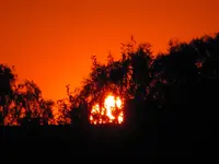 IMG_2021.webp