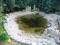 Teich.webp