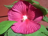 PICT0040.webp