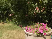 HPIM5091.webp