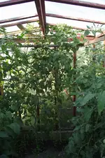 Garten 018.webp