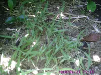 PIC00967.webp