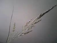 Snapshot_20100720_12.webp