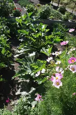 Garten 051.webp