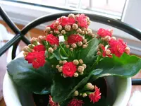 DSCF3772.webp