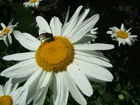 DSCF3773.webp