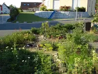 Nutzgarten.webp