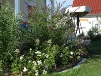 Terrassensichtschutz.webp
