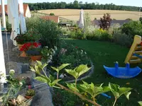 Garten 2.webp