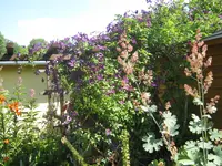 001.webp