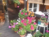 20.07.2010 003.webp