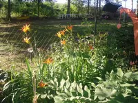 20.07.2010 016.webp