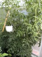 BILD0849.webp