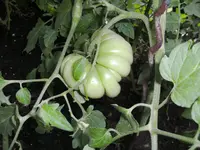 BILD0850.webp