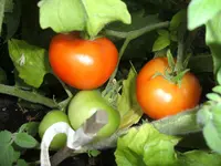 BILD0854.webp