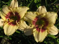IMG_albert220-3_1024x768.webp