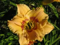 IMG_albert230-3_1024x768.webp