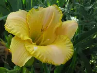 IMG_touch me light_1024x768.webp