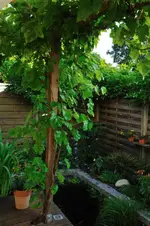 MK4_5178.webp