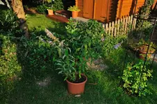 MK4_5185.webp