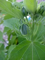DSCF3573.webp