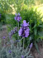 DSCF3584.webp
