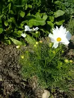 DSCF3594.webp