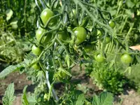 DSCF3603.webp
