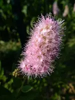 DSCF3608.webp