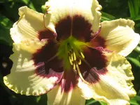 008.webp