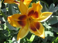 019.webp