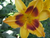 020.webp