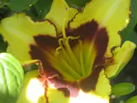 023.webp