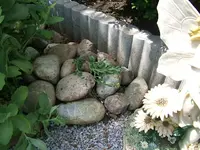 29731.webp