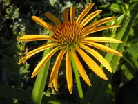 IMG_8347_1024x768.webp