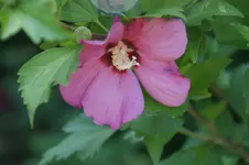 DSC03546.webp