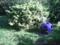 Kugel.webp