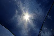 DSC03553.webp