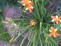 21_07_10 005.webp