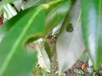 CIMG0994 (Small).webp